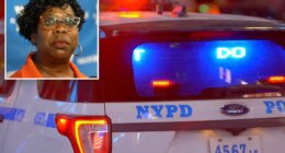 Trinitarios gang members busted on gunpoint robbery spree