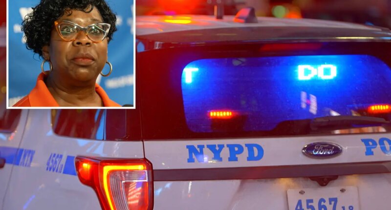 Trinitarios gang members busted on gunpoint robbery spree