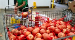 Trump administration asks to immediately block SNAP distribution order 