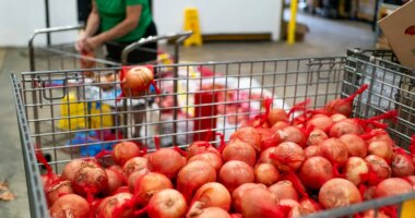 Trump administration asks to immediately block SNAP distribution order 