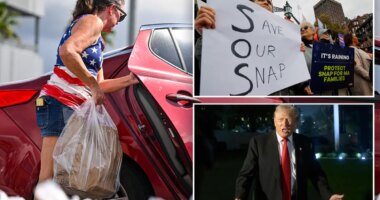 Trump administration cannot withhold $4 billion for food aid, US appeals court rules