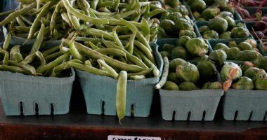 Trump administration faces a deadline to tell judges whether it will use contingency funds for SNAP