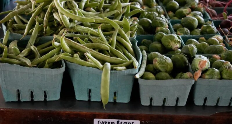 Trump administration faces a deadline to tell judges whether it will use contingency funds for SNAP