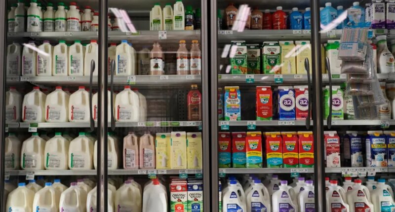 Trump administration says SNAP will be partially funded in November