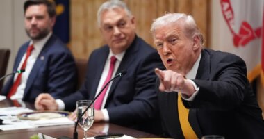 Trump lambasts NBC reporter over Walmart Thanksgiving meal question