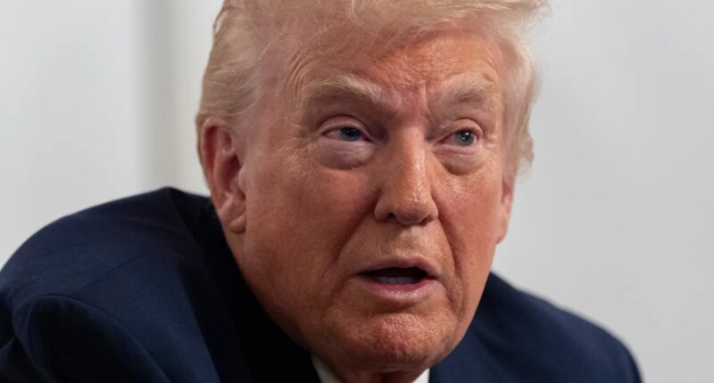 President Donald Trump speaks to reporters after speaking to troops via video from his Mar-a-Lago estate on Thanksgiving, Thursday, Nov. 27, 2025, in Palm Beach, Fla. (AP Photo/Alex Brandon)