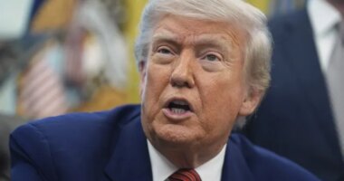 Trump tariff dividends face legal, political roadblocks