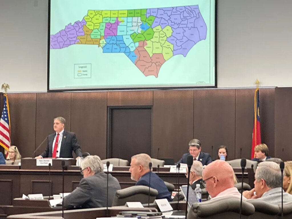 North Carolina state Sen. Warren Daniel, R-Burke (left and standing), presides over the Senate Committee on Elections while it considers legislation to redraw the state