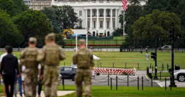 Two National Guard troops shot near White House: report