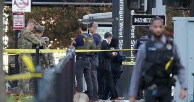 Two US National Guard troops killed in shooting near White House