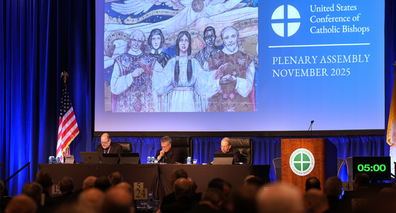 US Catholic bishops vote to officially prohibit gender transition treatment at Catholic hospitals