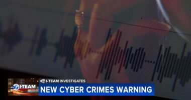 US Secret Service issues holiday warning on insidious new techniques cyber criminals are using to defraud Chicago-area victims