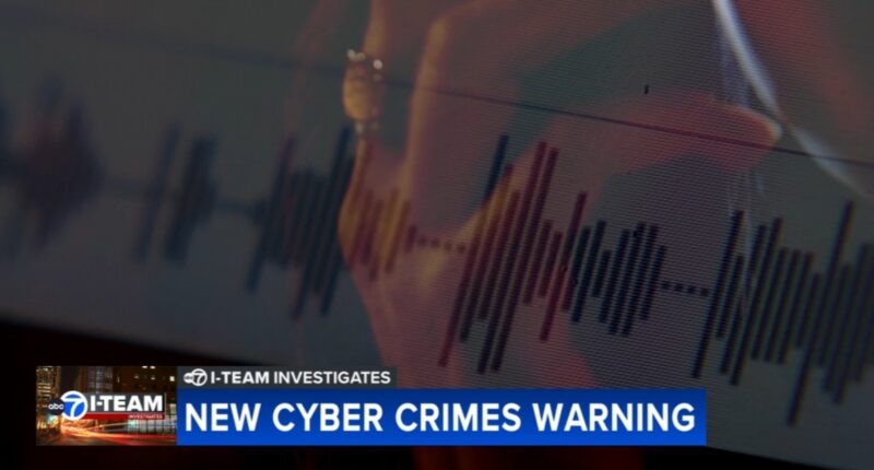 US Secret Service issues holiday warning on insidious new techniques cyber criminals are using to defraud Chicago-area victims