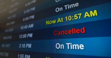 A flight is listed as cancelled on a display at San Diego International Airport Saturday, Nov. 8, 2025, in San Diego. (AP Photo/Gregory Bull)
