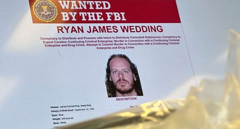 US sanctions former Canadian Olympian Ryan Wedding amid global drug trafficking accusations