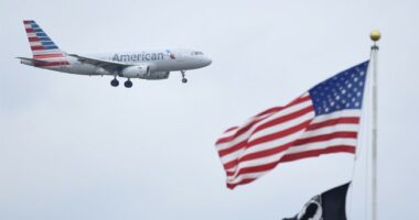 Unfriendly Skies: Flight Carrying Congressmen to D.C. Gets Diverted Over One AWFL's Disruptive Rant