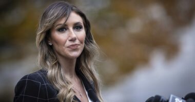 Update: Suspect in Attack on Top Trump Attorney Alina Habba's Office Has Been Arrested