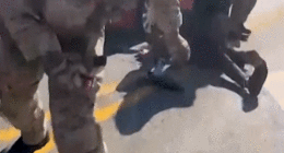 Video shows hostile crowd surround Border Patrol agents as arrest turns violent in suburban Chicago