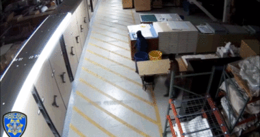 Video shows masked thieves raiding art museum artifacts in bold overnight heist: officials