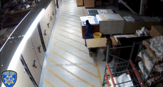 Video shows masked thieves raiding art museum artifacts in bold overnight heist: officials