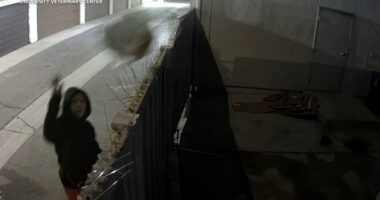 Video shows woman throwing dog over University Veterinary Center clinic fence in plastic bag in Anaheim, California