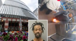Violent firebug who allegedly set woman ablaze on Chicago train has another arson rap to his name -- but was given probation