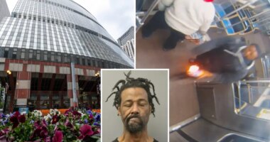 Violent firebug who allegedly set woman ablaze on Chicago train has another arson rap to his name -- but was given probation