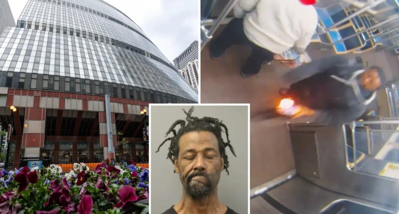 Violent firebug who allegedly set woman ablaze on Chicago train has another arson rap to his name -- but was given probation