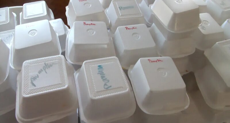 Volunteers prepare to feed thousands at Haven of Mercy's annual Thanksgiving meal