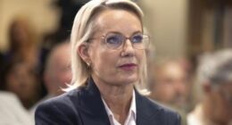 Voters deserting Liberals as support for One Nation surges