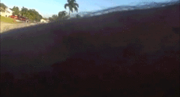 WATCH: Teen arrested after alleged wild shovel attack on police cruiser in ritzy Florida neighborhood