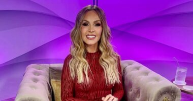 Was RHOC Finale Phone Call a Setup to Take Down Tamra Judge? Insider Speaks