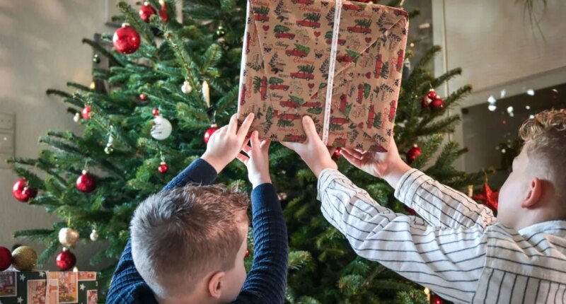 What did that teddy bear say? Study warns parents about AI toys