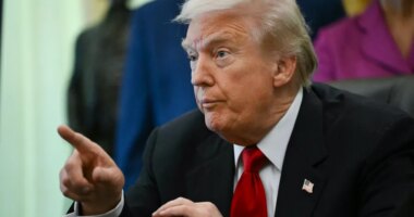 What to know about Trump's $2K tariff rebate proposal