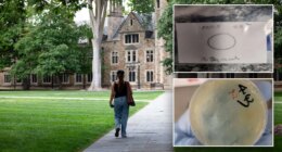 What we know about the Chinese nationals accused of smuggling biological materials while at university lab