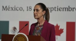 What's Going on in Mexico City? Over 100 Officers Injured During Breach at National Palace