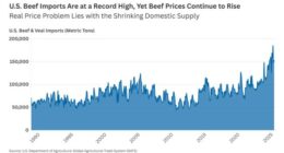 What’s the Beef? Trump Wants Short Term Fixes; Long Term Fixes Are Much More Difficult