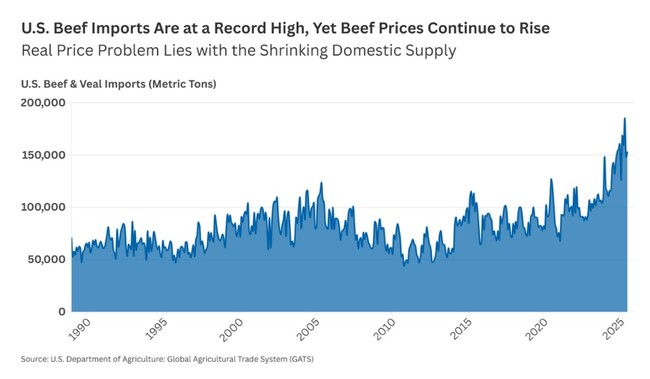 What’s the Beef? Trump Wants Short Term Fixes; Long Term Fixes Are Much More Difficult