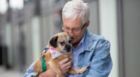 Where Paul O’Grady's animals are now after death including dogs, owls, pigs and alpacas