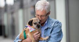 Where Paul O’Grady's animals are now after death including dogs, owls, pigs and alpacas