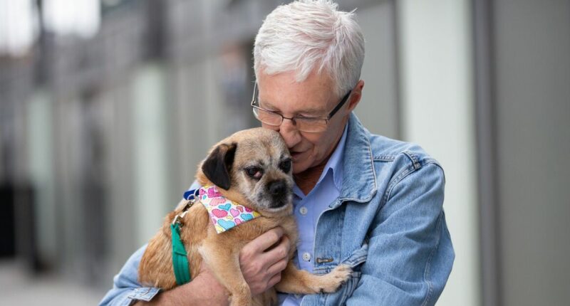 Where Paul O’Grady's animals are now after death including dogs, owls, pigs and alpacas