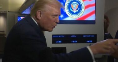 White House attacks journalist who Donald Trump called 'piggy'