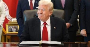 Who could qualify for Trump's suggested $2K tariff rebate? What's happened in the past