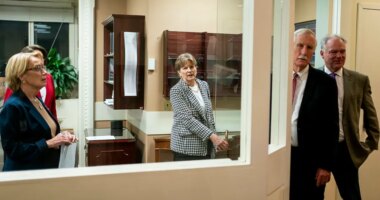 Why a handful of Democratic senators decided to end the shutdown