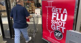 Why ‘subclade K’ could make for a nasty flu season