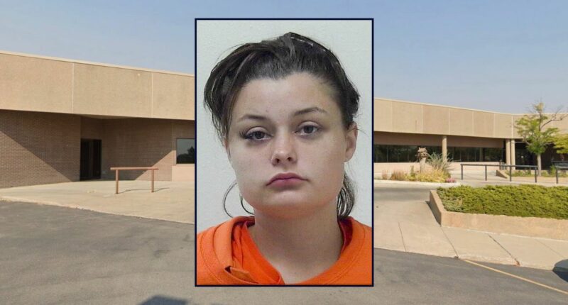 Wife in tequila-induced 'rage' tried to stab husband: Cops