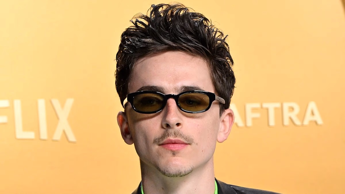 Wild internet rumours claim Timothée Chalamet is actually a music star