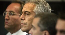 Will the Epstein files be released after House vote? What happens next