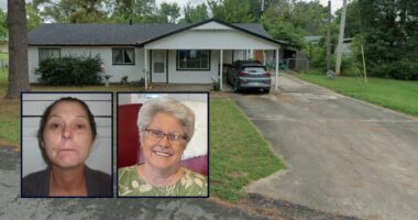 Woman fatally beat mom with portable vacuum cleaner