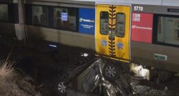 Woman's miraculous escape from car in path of a train